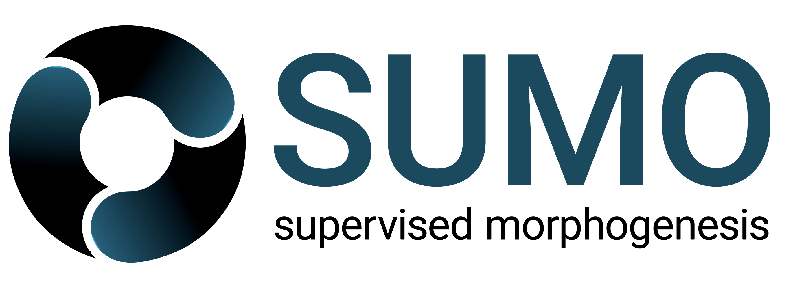SUMO - Supervised Morphogenesis logo